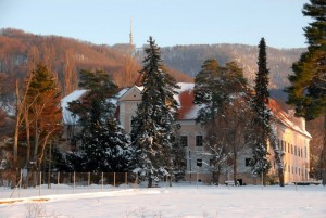 Bistra1